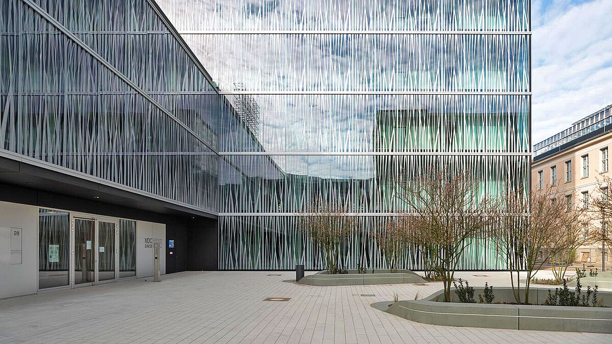 Auch unregelmässige, kreative Bedruckungen werden von Vögeln als Hindernis wahrgenommen. Bild: Flachglas MarkenKreis/Marcus Ebener.