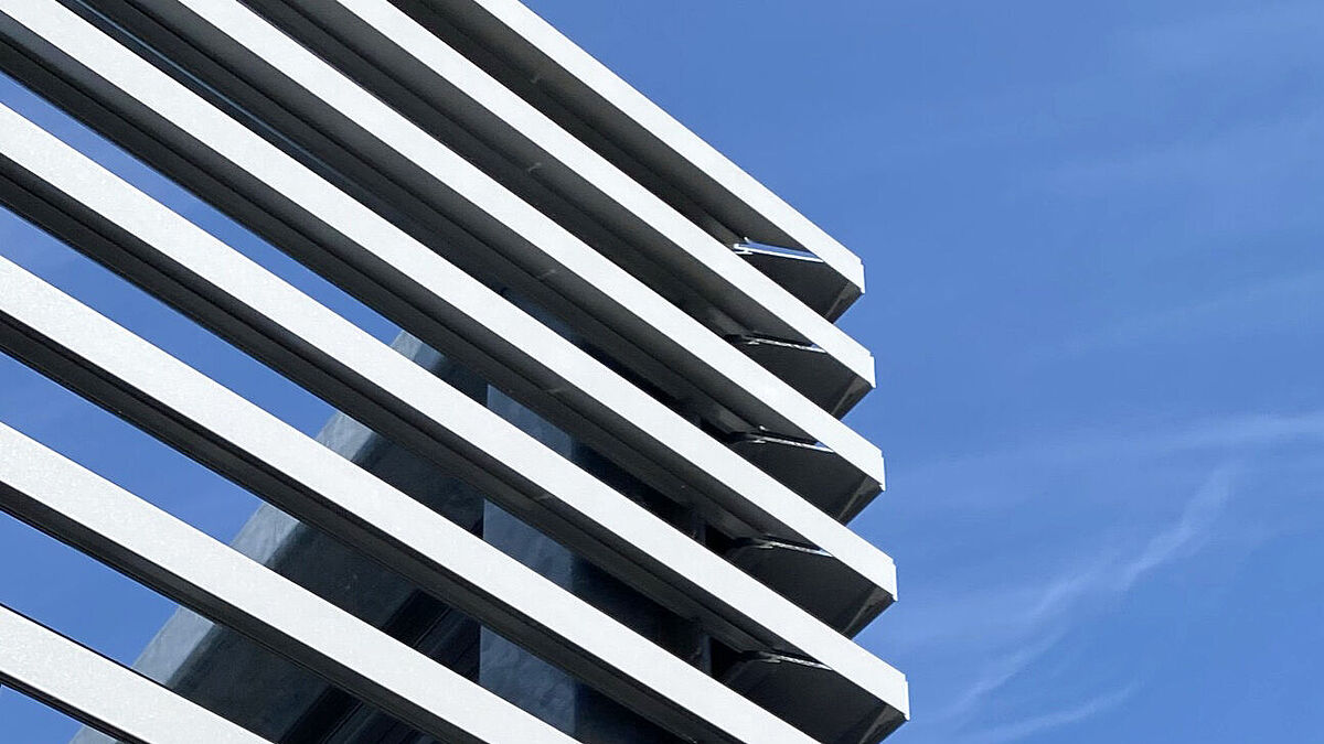 Vue du dessous : transparence et circulation d’air. Trois coupes de lamelles différentes au choix, y compris coupes d’onglets.