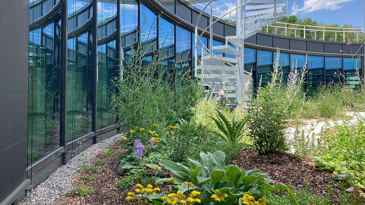 Die radialen Innenfassade: Zur Anwendung kam das hauseigene Pfosten-Riegel-Aufsatzsystem von Rytz.  Bild: Bäumlin+John AG