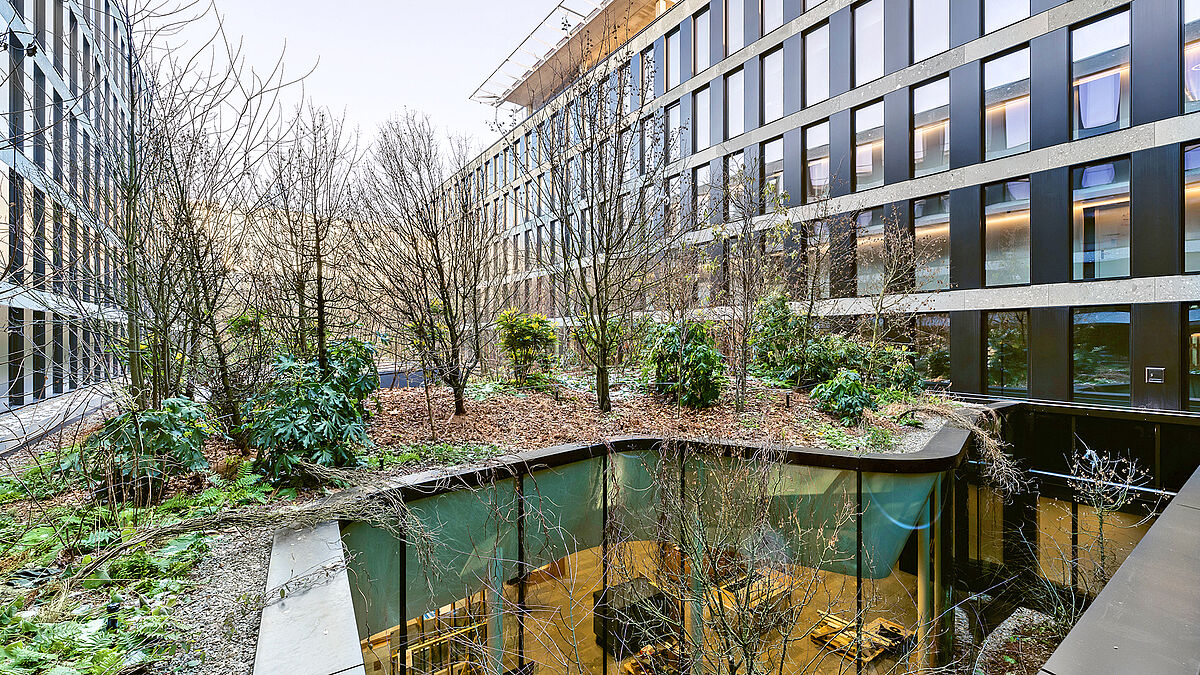 Les patios et les cours intérieures végétalisés maximisent la lumière zénithale dans le restaurant.