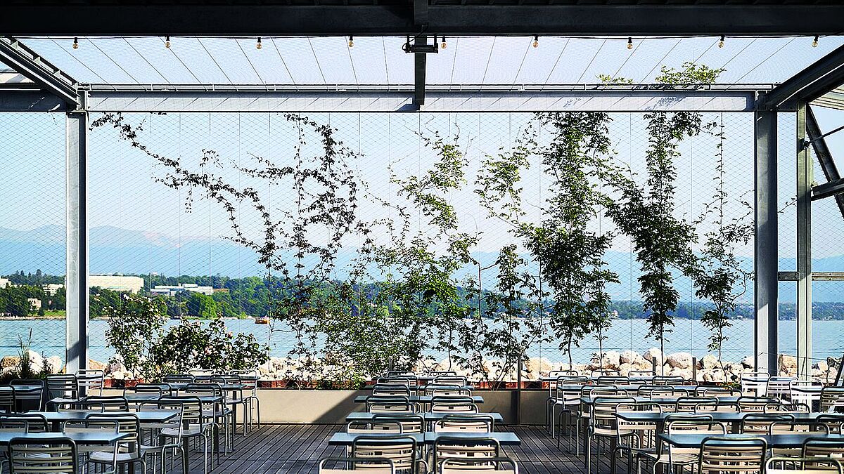 Das Edelstahlnetz dient auch als Rankstruktur, an der Kletterpflanzen entlangwachsen.