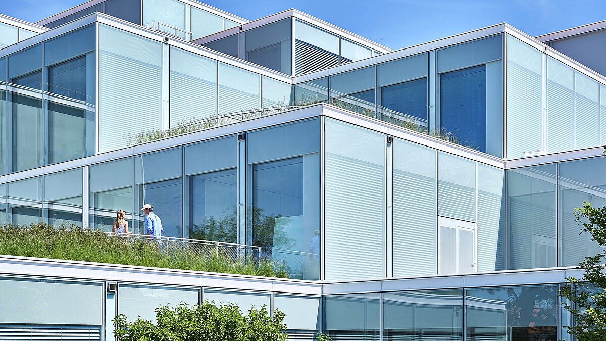 Die sich in unterschiedlichem Masse erhebenden Gebäudevolumen aus Glas formen Terrassen, die als Aufenthaltsorte dienen sollen.